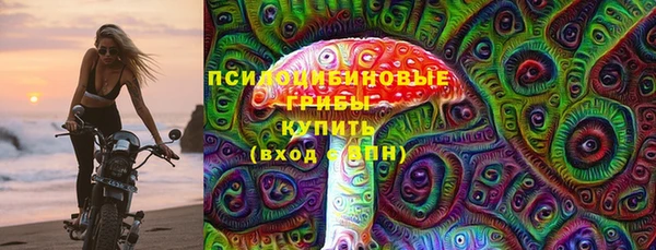 соль ск Алексин
