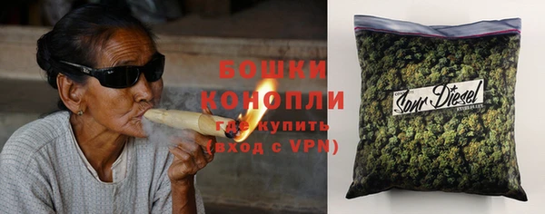 дурь Алексеевка