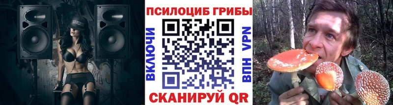 Псилоцибиновые грибы мицелий Саров